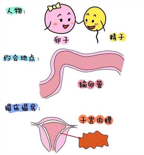 山西试管婴儿医院哪家好?国内做供卵试管的医院有哪些插图 山西试管婴儿医院哪家好?国内做供卵试管的医院有哪些插图