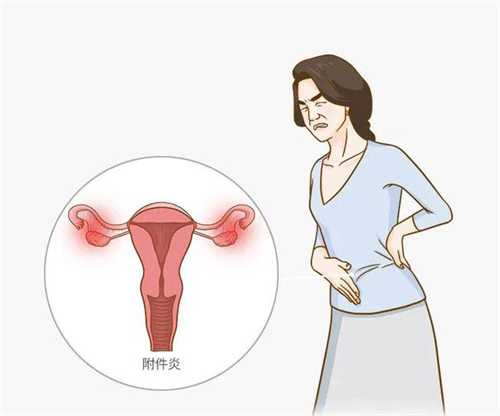 上海瑞金医院试管婴儿费用多少钱?上海哪个医院做试管婴儿比较好?插图 上海瑞金医院试管婴儿费用多少钱?上海哪个医院做试管婴儿比较好?插图