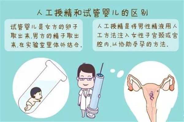 人工授精和试管婴儿有什么区别?插图