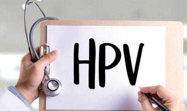 孕检常规检查项目里有hpv这一项吗?插图1 孕检常规检查项目里有hpv这一项吗?插图1