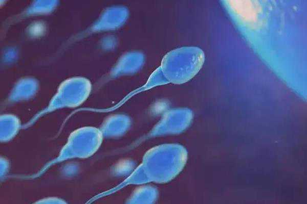 朝阳医院生殖中心可以做供精试管婴儿吗？成功率如何？插图