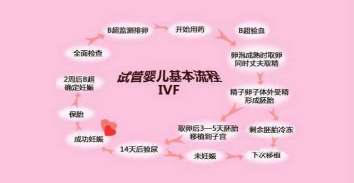 试管婴儿具体流程是怎样的,有哪些步骤插图 试管婴儿具体流程是怎样的,有哪些步骤插图