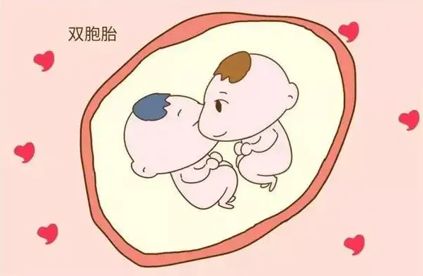 怀双胞胎初期时HCG值和孕酮不理想应该怎么办插图 怀双胞胎初期时HCG值和孕酮不理想应该怎么办插图