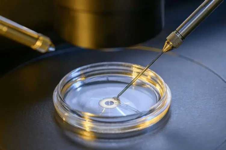 2024湖北做试管婴儿的医院？成功率高的医院是哪家？插图