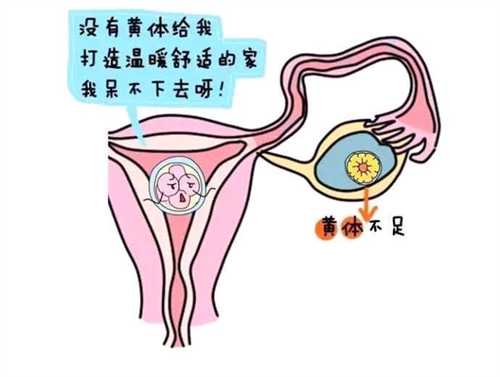 供卵生下来的孩子会越来越像自己吗?绝经8年还能做供卵试管吗?插图 供卵生下来的孩子会越来越像自己吗?绝经8年还能做供卵试管吗?插图
