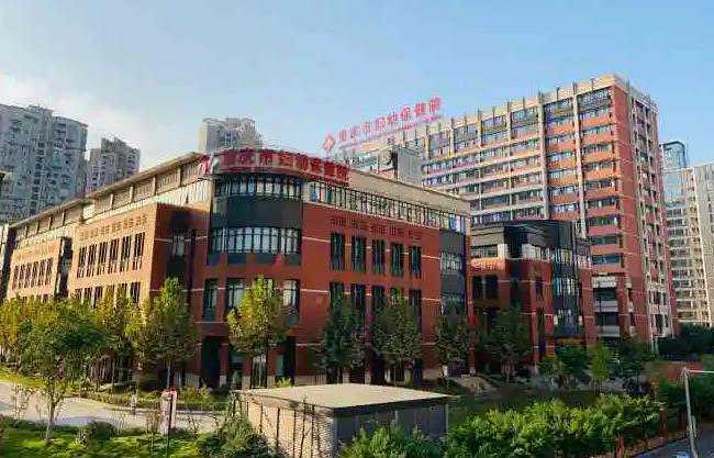 重庆市妇幼保健院可以做供卵试管婴儿吗?费用贵吗?插图 1658154730289675.jpeg