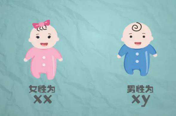长沙做试管婴儿龙凤胎费用要多少钱?9万够吗?插图 1658156397835983.jpeg