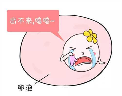 重庆2024试管成功率高的医院名单!附助孕成功率及费用介绍插图 undefined