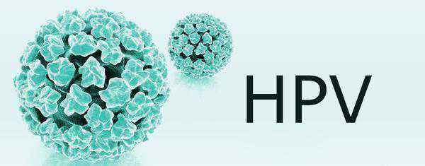 hpv疫苗注射后检测结果很关键,产生抗体才能抵御病毒感染插图1 hpv疫苗注射后检测结果很关键,产生抗体才能抵御病毒感染插图1