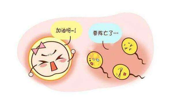 试管婴儿第一次失败了，做第二次要花多少钱？插图