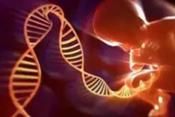 深圳做第三代试管婴儿要多少钱?费用10万够吗?插图2 深圳做第三代试管婴儿要多少钱?费用10万够吗?插图2
