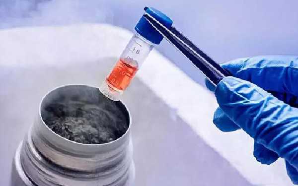 试管婴儿冻胚移植成功率高吗?怎么提高成功率?插图 试管婴儿冻胚移植成功率高吗?怎么提高成功率?插图