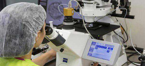 做试管取卵移植能打新冠疫苗吗?插图1 做试管取卵移植能打新冠疫苗吗?插图1