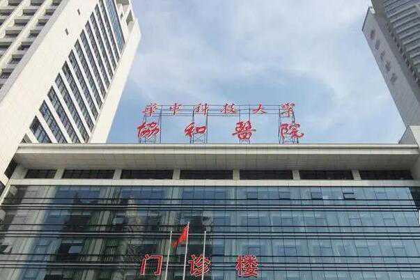 武汉试管婴儿哪个医院最好?去武汉做试管选哪个医院?插图
