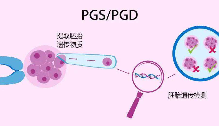 银川三代试管排名前十的医院有哪些?附详细医院费用插图2 1658155033578216.jpeg