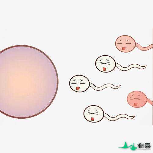 在马来西亚,试管婴儿的成功率是多少?插图 在马来西亚,试管婴儿的成功率是多少?插图