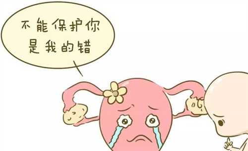 卵巢早衰可以做试管婴儿吗 卵巢功能早衰试管婴儿应对计划是怎样的插图 undefined