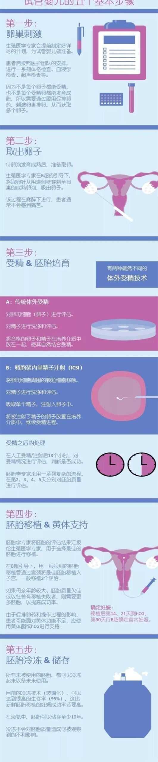 一图读懂试管婴儿全过程，解读从取卵到移植6步骤插图