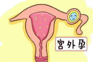上海九院试管费用多少？上海瑞金医院做试管婴儿建档费用多少？插图