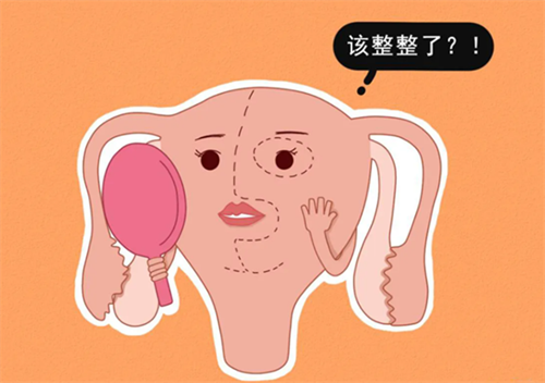 郑大三附院供卵贵还是一附院供卵贵？郑大三附院供卵试管流程是怎样的？插图2