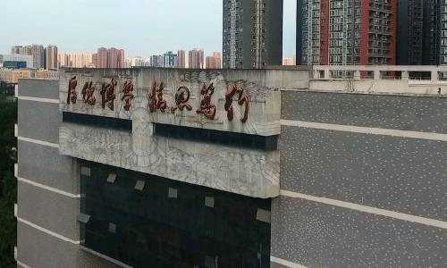2024年成都试管婴儿医院有几个,哪些成功率高插图5 2024年成都试管婴儿医院有几个,哪些成功率高插图5