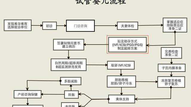 赴泰做第三代试管婴儿不止十几万！这3个因素决定最终花费插图2