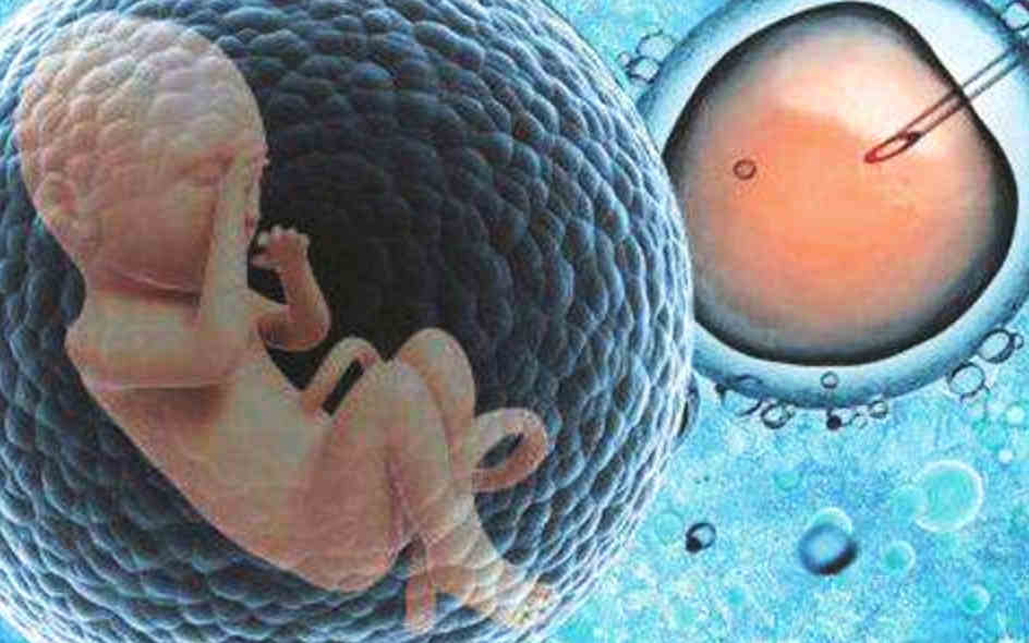 广州做试管婴儿的全部费用？三代试管费用明细!插图1