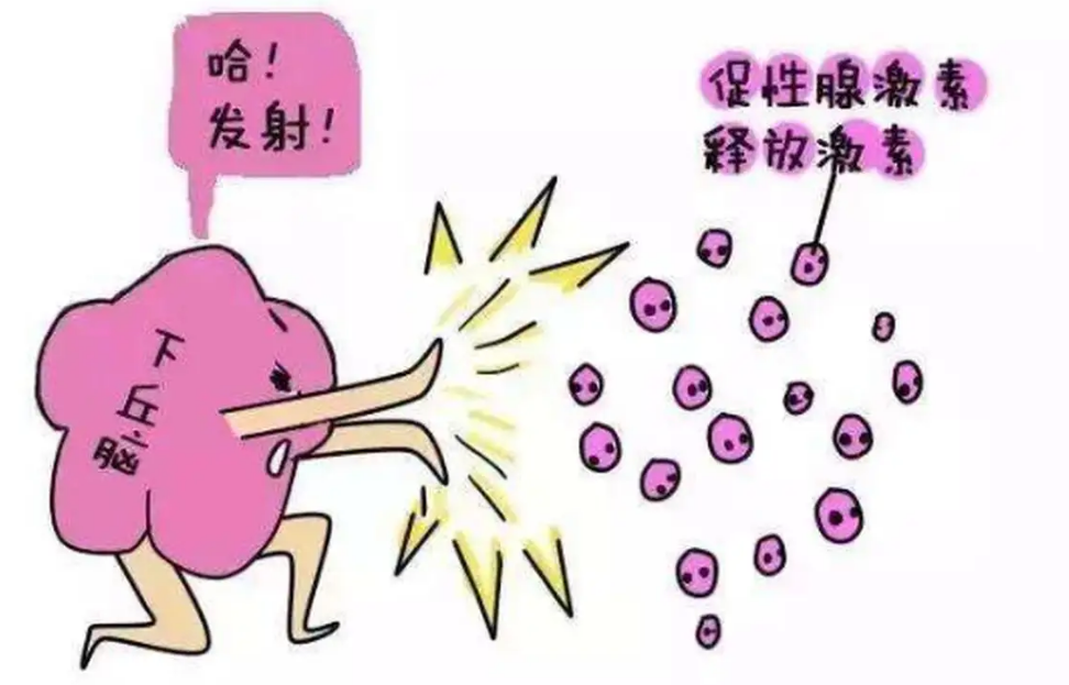 1657795068094870.png