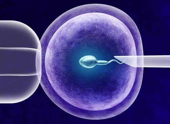 2024年同济医院可以做三代试管男孩吗？成功几率高吗？插图1