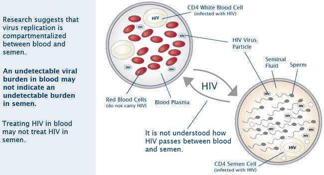女性HIV(艾滋病)感染者可以做美国试管婴儿吗?插图 女性HIV(艾滋病)感染者可以做美国试管婴儿吗?插图