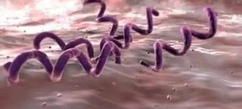 梅毒抗体阳性可以要孩子吗,孩子出生阳性,持续18个月插图