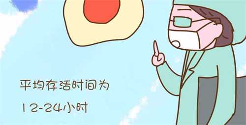 哈尔滨正规试管婴儿医院推荐 附试管婴儿医院选择指南插图 哈尔滨正规试管婴儿医院推荐 附试管婴儿医院选择指南插图