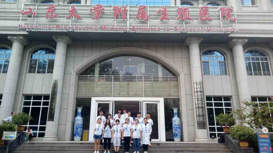 济南试管婴儿去哪里成功率高?附济南试管医院成功率及费率插图 济南试管婴儿去哪里成功率高?附济南试管医院成功率及费率插图
