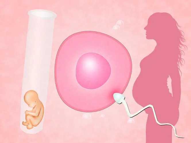 马来西亚做供卵试管婴儿合不合法?附马来西亚试管成功案例分享插图 马来西亚做供卵试管婴儿合不合法?附马来西亚试管成功案例分享插图