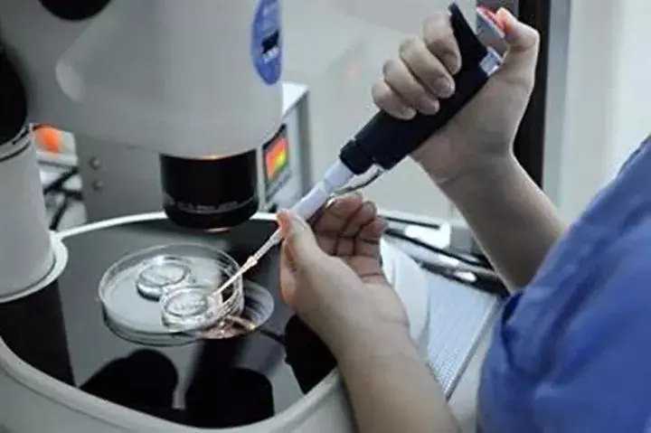 2024年去俄罗斯做试管要签证吗？去俄罗斯做试管签证怎么办理？插图