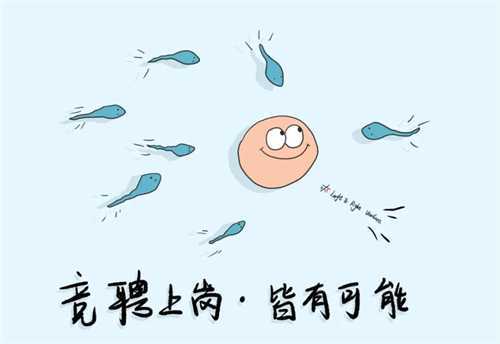 上海私立供卵机构是否能包成功?上海比较出名的试管医院有哪些呢?插图 上海私立供卵机构是否能包成功?上海比较出名的试管医院有哪些呢?插图