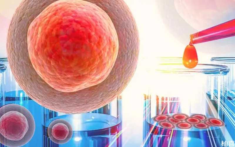 试管培养5天6天7天的囊胚质量上都有什么区别?插图