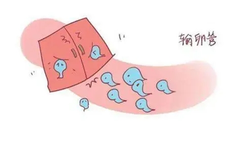 北京做三代试管婴儿费用大约是多少?附北京三代试管费用明细插图 北京做三代试管婴儿费用大约是多少?附北京三代试管费用明细插图
