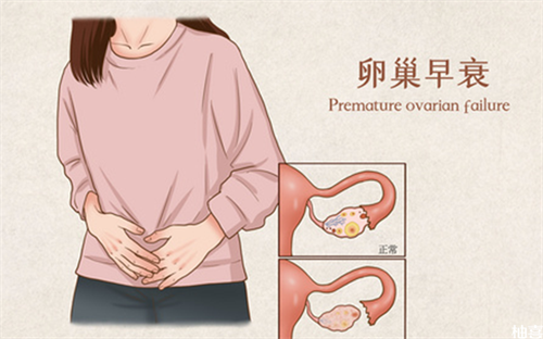 湖南借卵生子各阶段费用一览!附湖南供卵试管医院推荐插图1 undefined