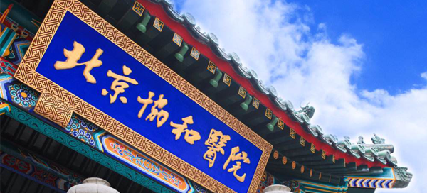 北京协和医院做二代试管费用多少?成功率高吗?插图5 北京协和医院做二代试管费用多少?成功率高吗?插图5