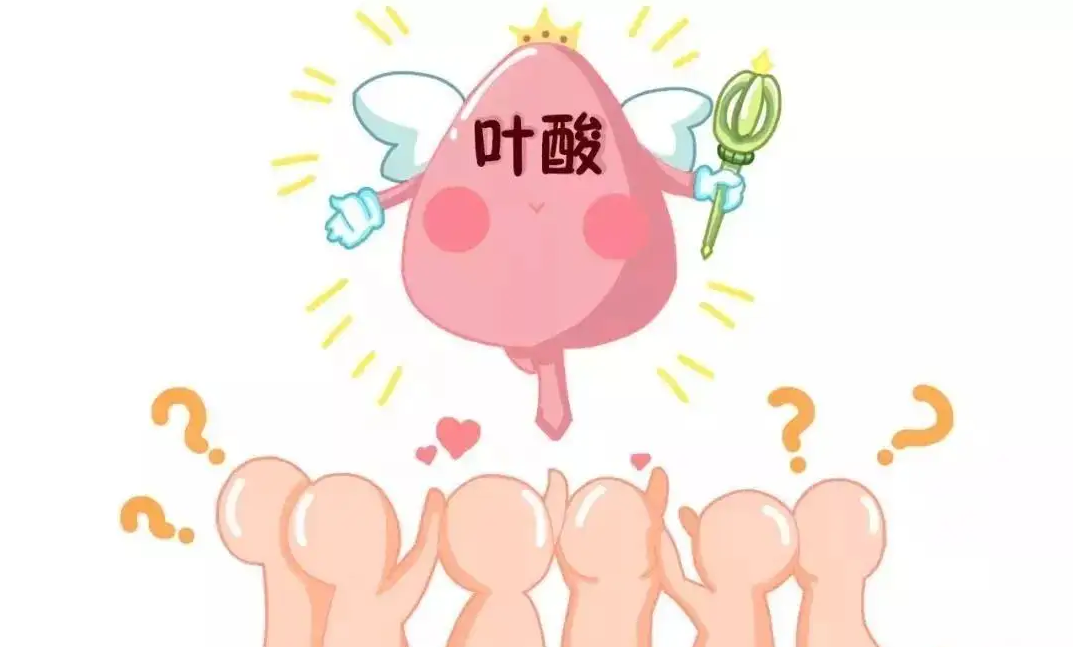女性备孕时应该什么时候开始吃叶酸?插图 1659752912605962.png