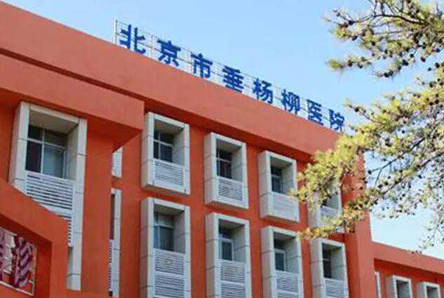 北京试管婴儿十大医院排名有哪些？附详细成功率清单插图