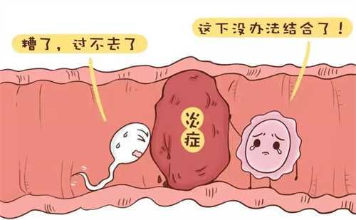 深圳做试管婴儿龙凤胎需多少钱?广东深圳妇幼做三代试管婴儿多少钱?插图 深圳做试管婴儿龙凤胎需多少钱?广东深圳妇幼做三代试管婴儿多少钱?插图