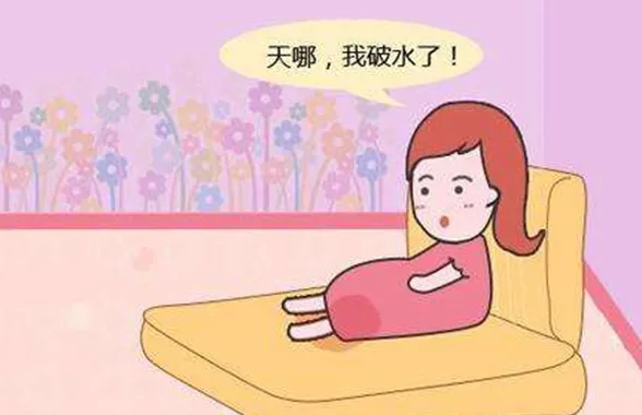 在孕晚期应该怎么区分羊水破裂和漏尿呢插图 1658644889113949.png