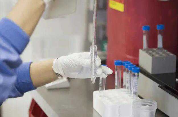 深圳供精试管婴儿成功率高吗?附详细成功率数据插图1 深圳供精试管婴儿成功率高吗?附详细成功率数据插图1