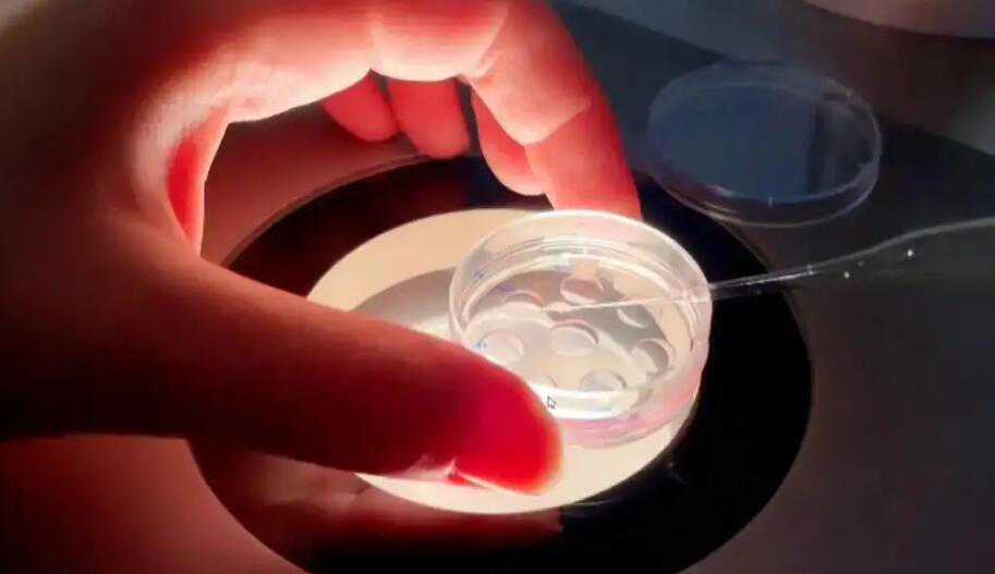南宁试管婴儿纳入医保吗?南宁做试管可以医保报销吗?插图1 南宁试管婴儿纳入医保吗?南宁做试管可以医保报销吗?插图1