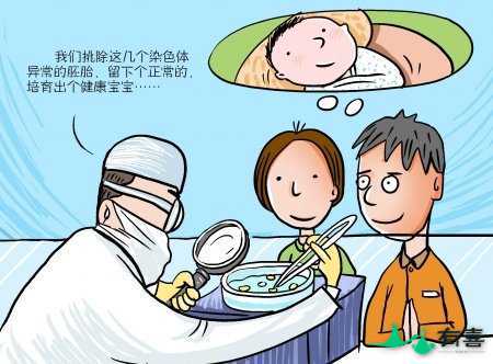 泰国试管婴儿自助行攻略和准备插图 泰国试管婴儿自助行攻略和准备插图