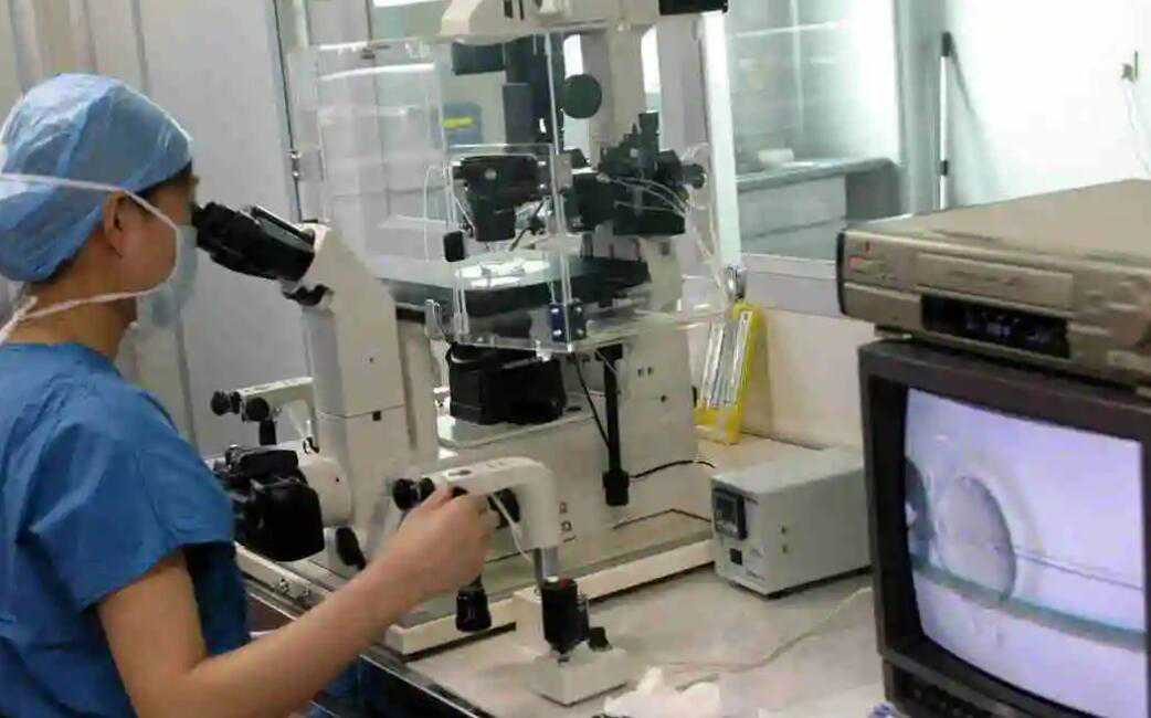 现在供卵试管婴儿多少钱?供卵试管费用明细?插图1 1657743138634647.jpeg