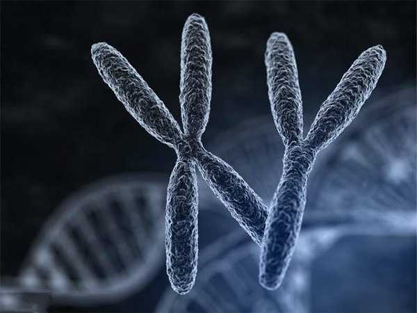 2024上海试管生子医院排名分析,如何选择靠谱的试管医院插图1 undefined