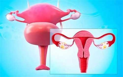 广东珠海有供卵试管医院吗 广东正规供卵试管医院推荐插图